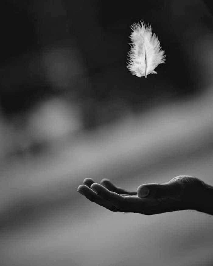 Pourquoi parler de la mort et de l’âme à nos enfants est-il nécessaire ?