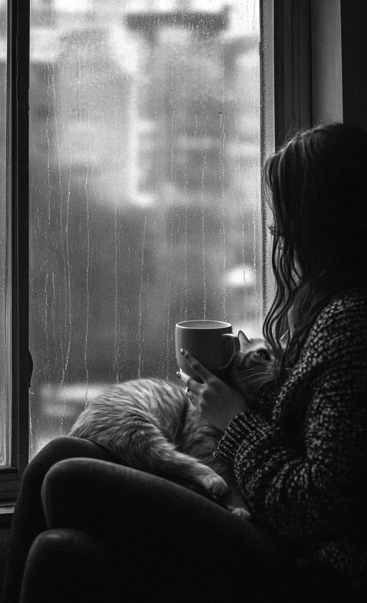Le ventre féminin a des douleurs écrites : comment guérir nos blessures et nos lignées ?