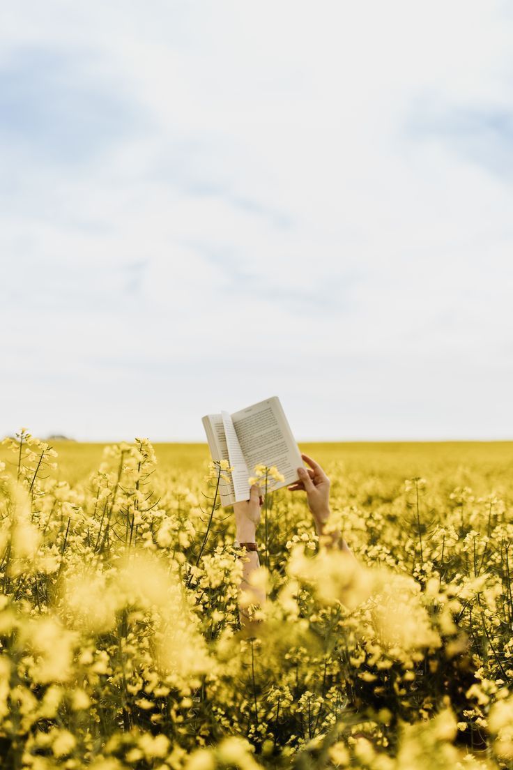 La sagesse du colza
