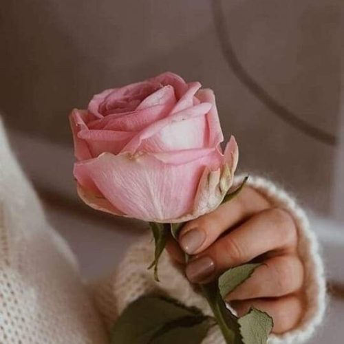 écriture thérapeutique et deuil